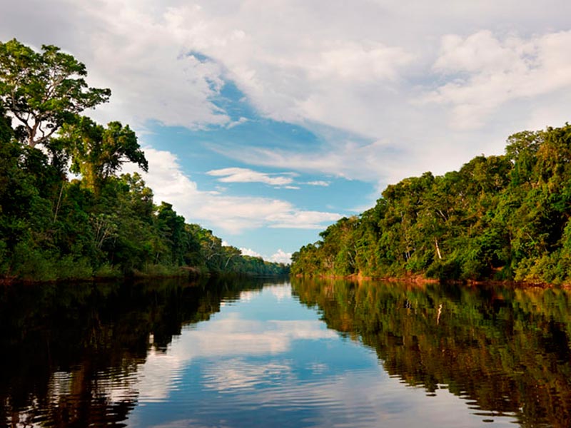 Paquete Turistico Iquitos Reserva Nacional Pacaya Samiria